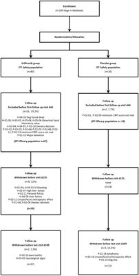 A blinded, randomized and controlled multicenter field study investigating the safety and efficacy of long-term use of enflicoxib in the treatment of naturally occurring osteoarthritis in client-owned dogs